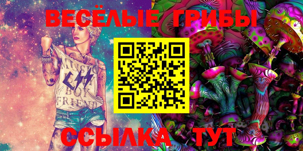 Псилоцибиновые грибы GOLDEN TEACHER Новоуральск