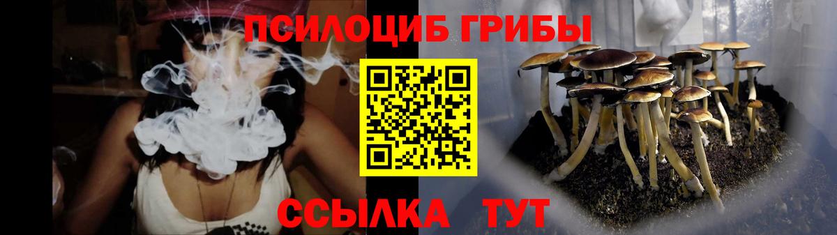 Новоуральск  где купить   Вход с VPN  Галлюциногенные грибы мицелий 